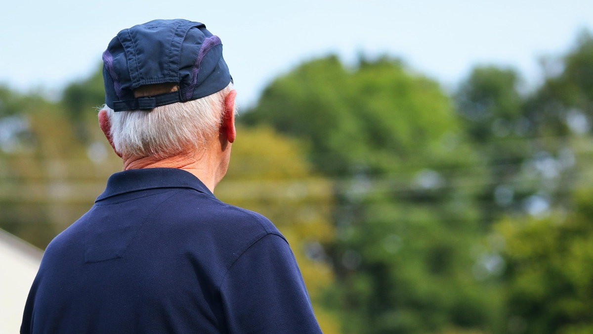 Private Pflegevorsorge - Foto: Pixabay, 6658552, planet_fox