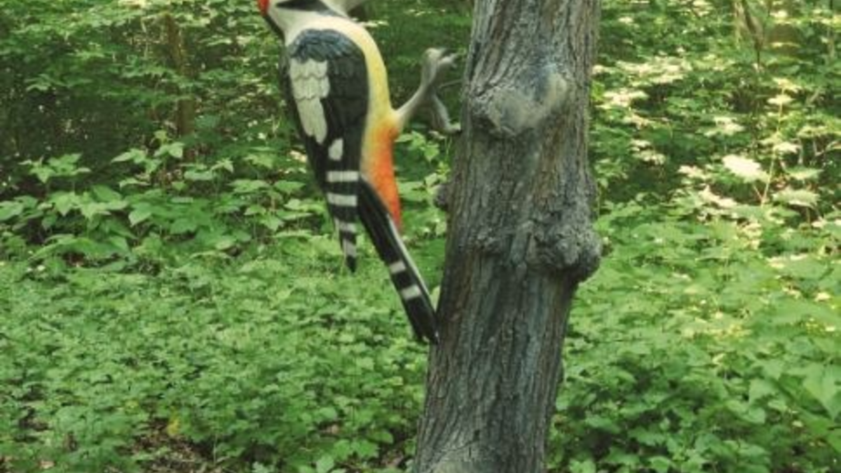 LPI-GTH: Holzskulptur entwendet - Zeugen gesucht - Foto: presseportal.de