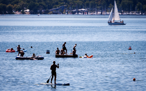 Zur Tötung des Welses hätte es aus Sicht von Peta eine Alternative gegeben. - Foto: Daniel Karmann/dpa Zur Tötung des Welses hätte es aus Sicht von Peta eine Alternative gegeben. - Foto: Daniel Karmann/dpa