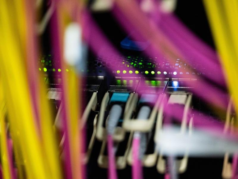 «Blue Swan» soll noch Bayern kommen - ob die EU-Kommission dem Wunsch der Staatsregierung entspricht, muss sich aber zeigen. (Illustration) - Foto: Marijan Murat/dpa