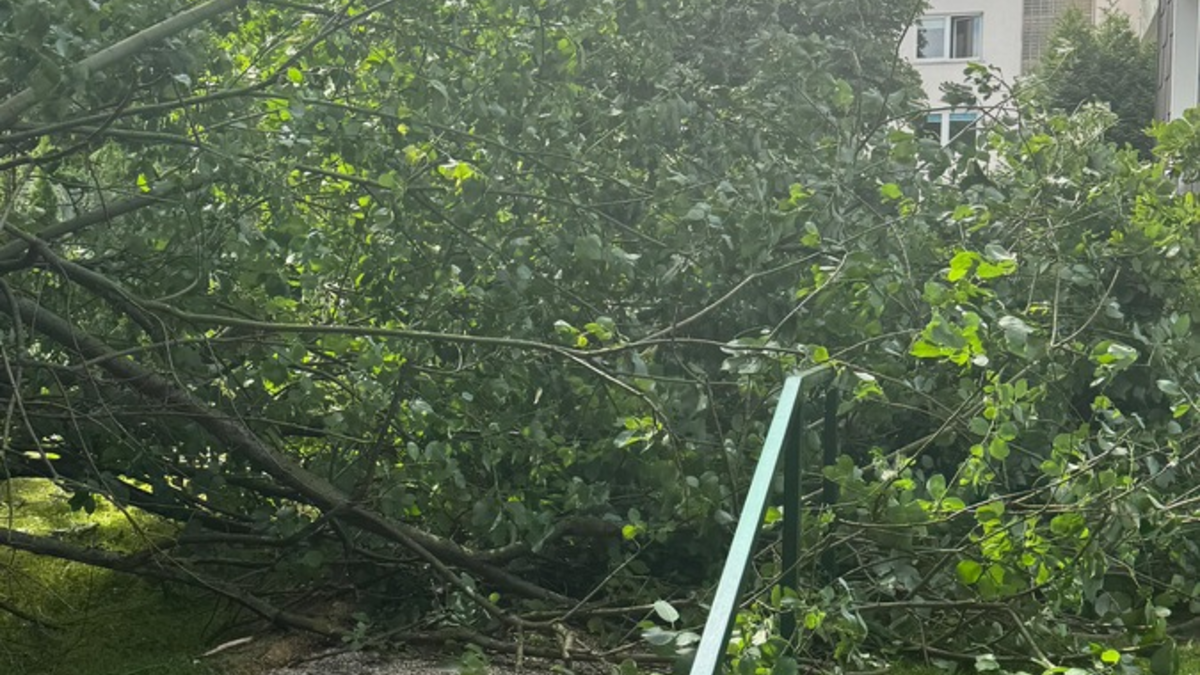 FW-EN: Sechs Einsätze für die Feuerwehr Gevelsberg am Dienstag - Foto: presseportal.de