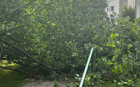 FW-EN: Sechs Einsätze für die Feuerwehr Gevelsberg am Dienstag - Foto: presseportal.de
