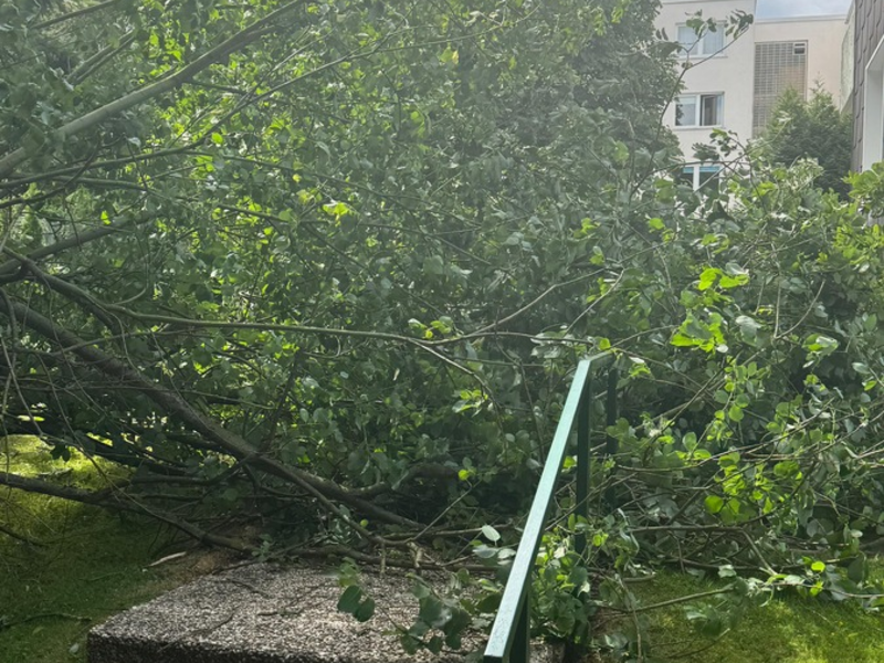 FW-EN: Sechs Einsätze für die Feuerwehr Gevelsberg am Dienstag - Foto: presseportal.de
