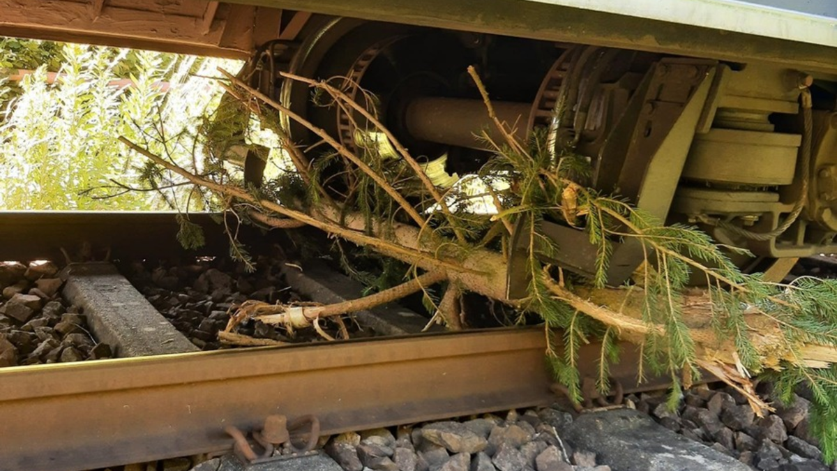 BPOL-KL: Zug kollidiert mit umgestürztem Baum - Foto: presseportal.de