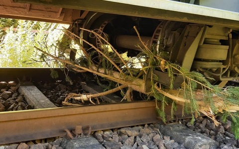 BPOL-KL: Zug kollidiert mit umgestürztem Baum - Foto: presseportal.de