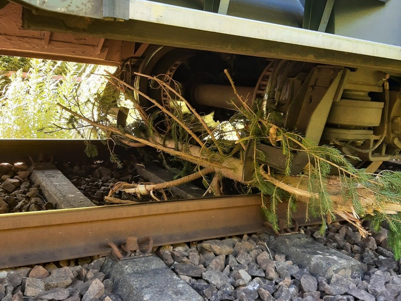 BPOL-KL: Zug kollidiert mit umgestürztem Baum - Foto: presseportal.de