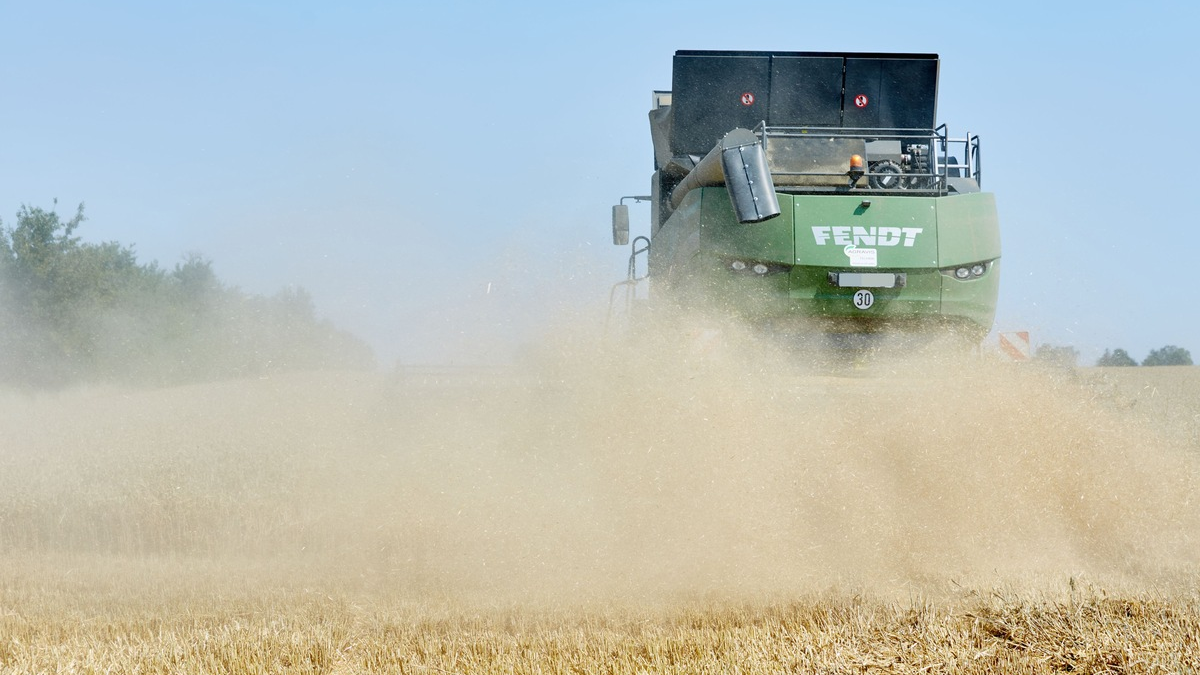 Experten der Agravis Raiffeisen AG blicken auf die bevorstehende Ernte 2025 - Foto: presseportal.de