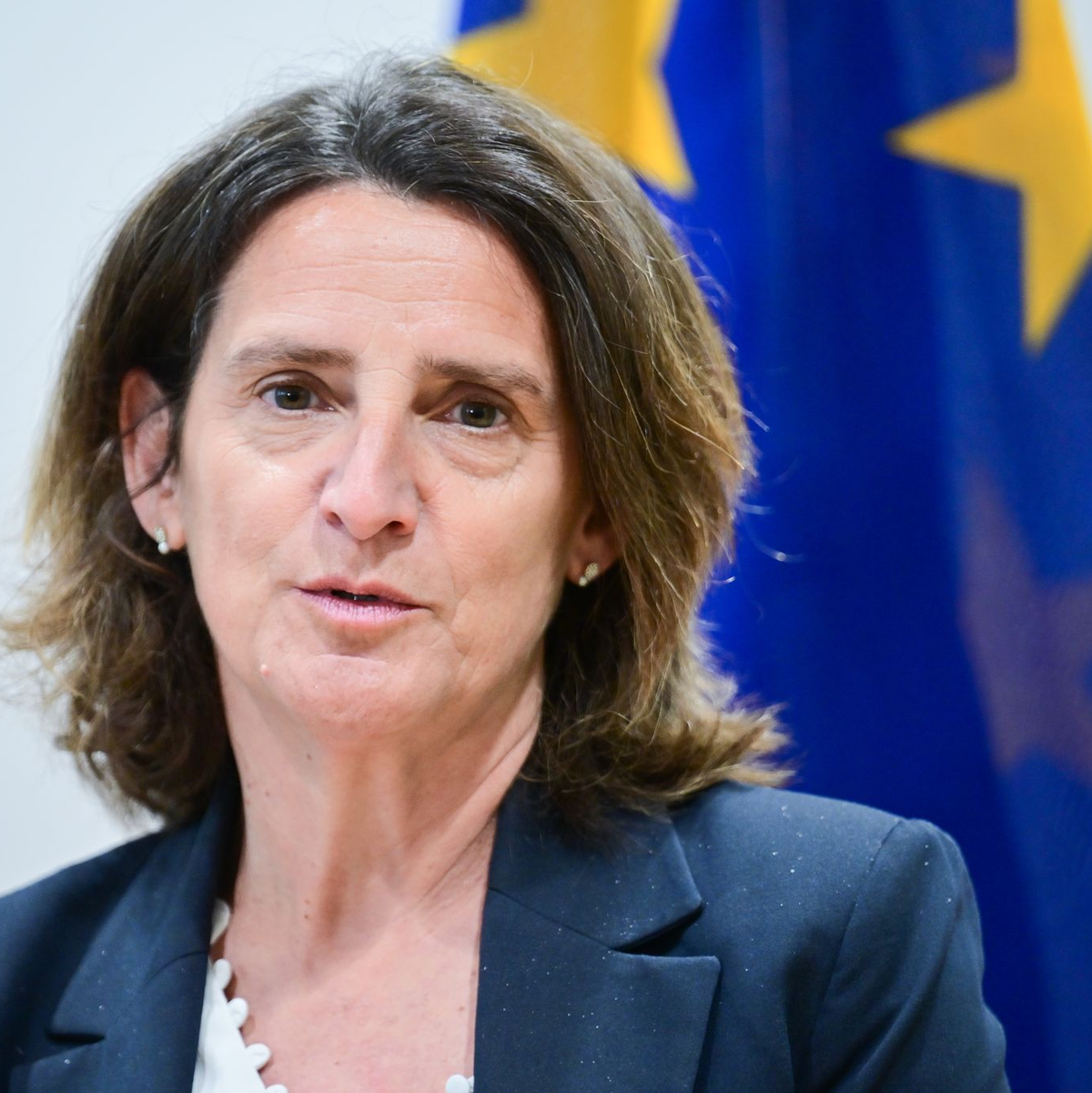 Die EU-Kommission erlaubt den Mitgliedsstaaten, energieintensive und im internationalen Wettbewerb stehende Firmen für eine Übergangszeit zu subventionieren. (Archivbild) - Foto: Sebastian Christoph Gollnow/dpa