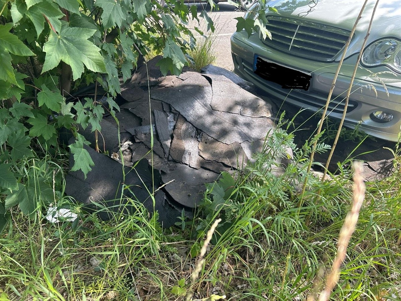 POL-PDMY: Illegale Müllablagerung auf Mitfahrerparkplatz Ochtendung - Foto: presseportal.de