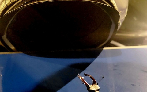 POL-LDK: Fenster aufgehebelt + Tierischer Einsatz- Skorpion auf Balkon gemeldet - Foto: presseportal.de