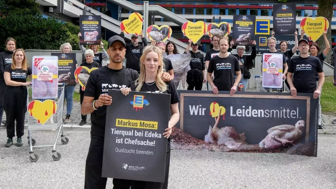 Fleisch-Attrappen und Riesenhühner: Tierschutzprotest sorgt für Trubel vor der Edeka-Zentrale - Bild: presseportal.de