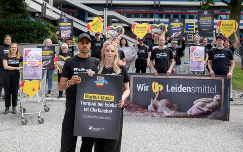 Fleisch-Attrappen und Riesenhühner: Tierschutzprotest sorgt für Trubel vor der Edeka-Zentrale - Foto: presseportal.de Fleisch-Attrappen und Riesenhühner: Tierschutzprotest sorgt für Trubel vor der Edeka-Zentrale - Foto: presseportal.de
