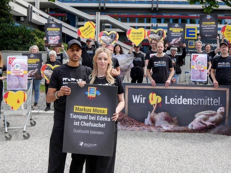 Fleisch-Attrappen und Riesenhühner: Tierschutzprotest sorgt für Trubel vor der Edeka-Zentrale - Foto: presseportal.de