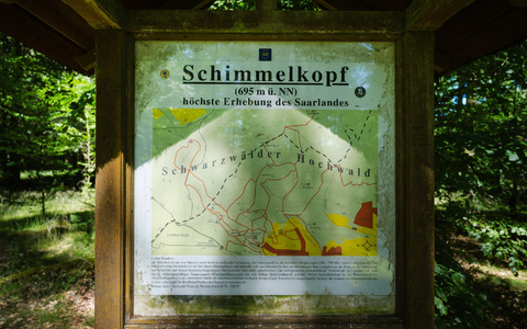 Der Schimmelkopf ist 694,8 Meter hoch, der Dollberg bei Nohfelden aber 695,4 Meter. Sechzig Zentimeter höher. - Foto: Oliver Dietze/dpa Der Schimmelkopf ist 694,8 Meter hoch, der Dollberg bei Nohfelden aber 695,4 Meter. Sechzig Zentimeter höher. - Foto: Oliver Dietze/dpa