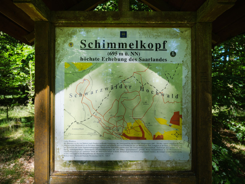 Der Schimmelkopf ist 694,8 Meter hoch, der Dollberg bei Nohfelden aber 695,4 Meter. Sechzig Zentimeter höher. - Foto: Oliver Dietze/dpa
