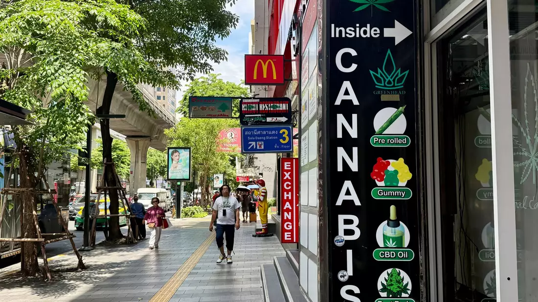 Cannabis-Shops schossen nach der Legalisierung 2022 wie Pilze aus dem Boden.  - Bild: Carola Frentzen/dpa