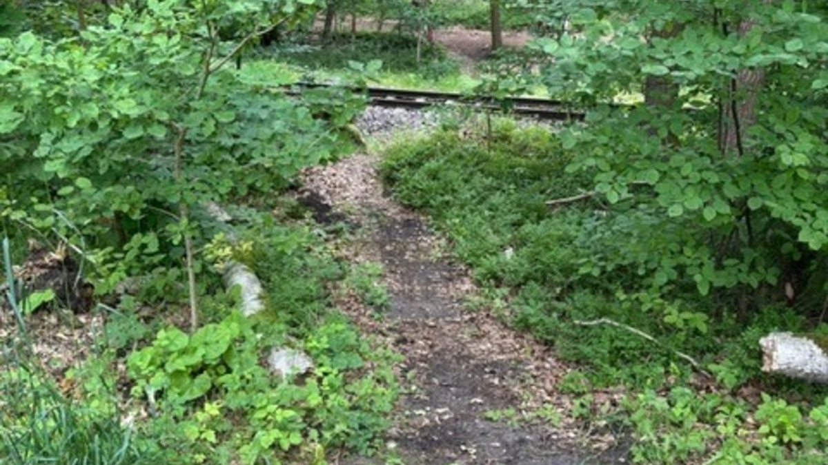 BPOL-HB: Lebensgefahr! - Bundespolizei warnt vor Nutzung von 