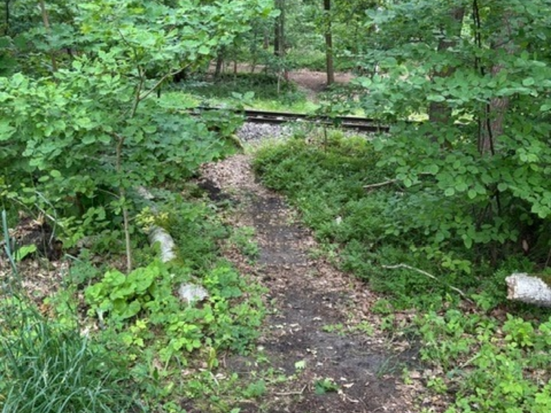 BPOL-HB: Lebensgefahr! - Bundespolizei warnt vor Nutzung von wilden Bahnübergängen - Foto: presseportal.de