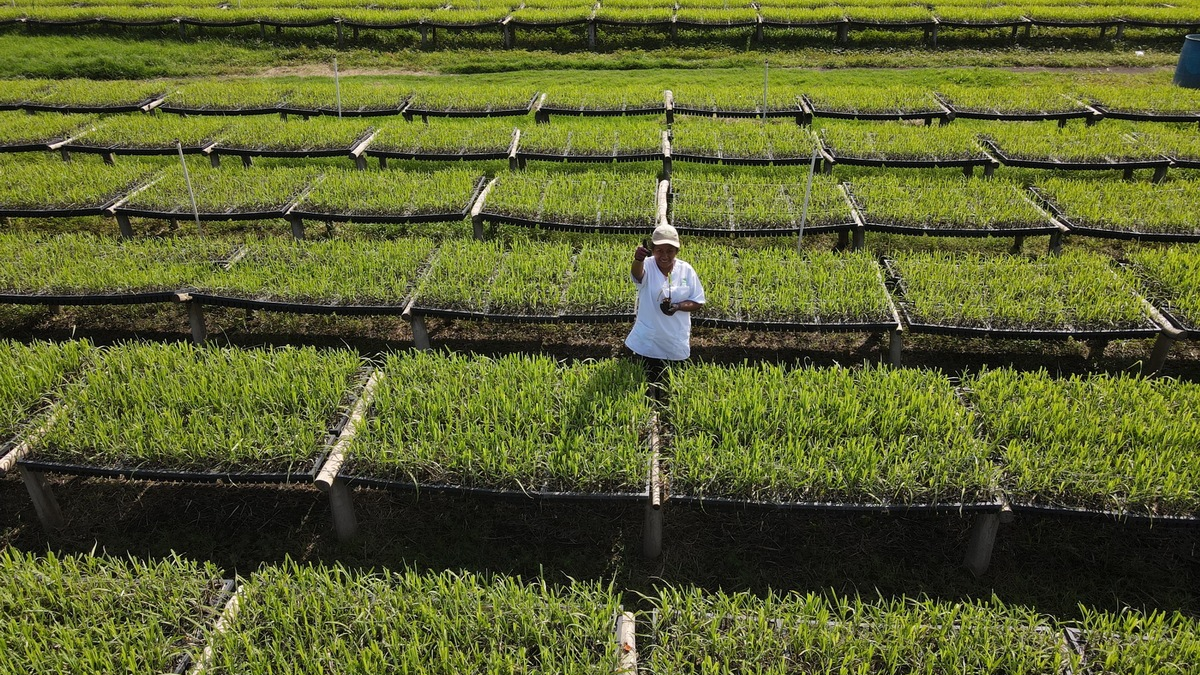 Wirkungen und Resilienz im Fokus: DEG stellt Entwicklungspolitischen Bericht 2024 vor - Foto: presseportal.de