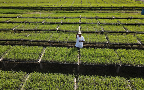 Wirkungen und Resilienz im Fokus: DEG stellt Entwicklungspolitischen Bericht 2024 vor - Foto: presseportal.de Wirkungen und Resilienz im Fokus: DEG stellt Entwicklungspolitischen Bericht 2024 vor - Foto: presseportal.de