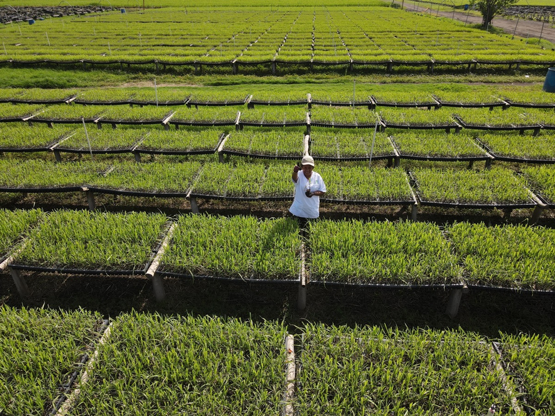 Wirkungen und Resilienz im Fokus: DEG stellt Entwicklungspolitischen Bericht 2024 vor - Foto: presseportal.de