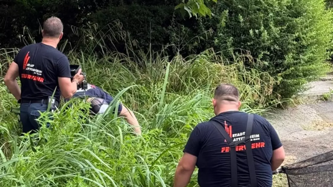 Feuerwehr MTK: Drei Einsätze an einem Tag: Gebäudebrand, Tierrettung und Aufzugsrettung - Bild: presseportal.de