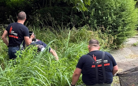 Feuerwehr MTK: Drei Einsätze an einem Tag: Gebäudebrand, Tierrettung und Aufzugsrettung - Foto: presseportal.de