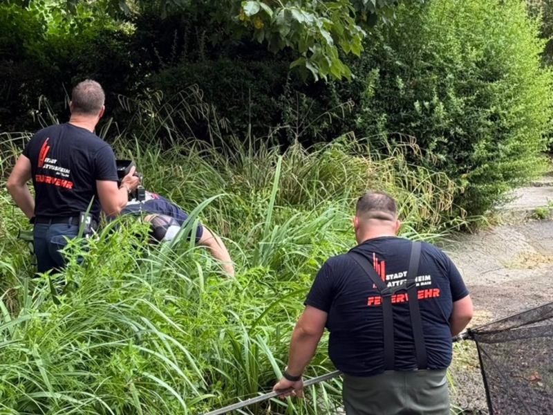 Feuerwehr MTK: Drei Einsätze an einem Tag: Gebäudebrand, Tierrettung und Aufzugsrettung - Foto: presseportal.de