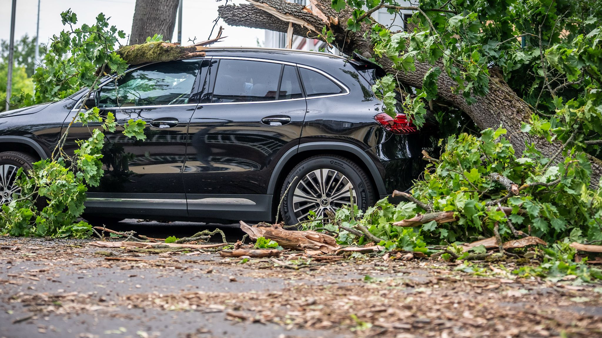 In Berlin führte jüngst ein Sturm zu zahlreichen Schäden. Eine Frau starb. - Foto: Michael Kappeler/dpa