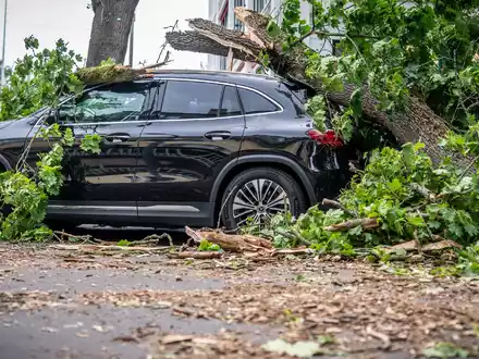 In Berlin führte jüngst ein Sturm zu zahlreichen Schäden. Eine Frau starb. - Foto: Michael Kappeler/dpa