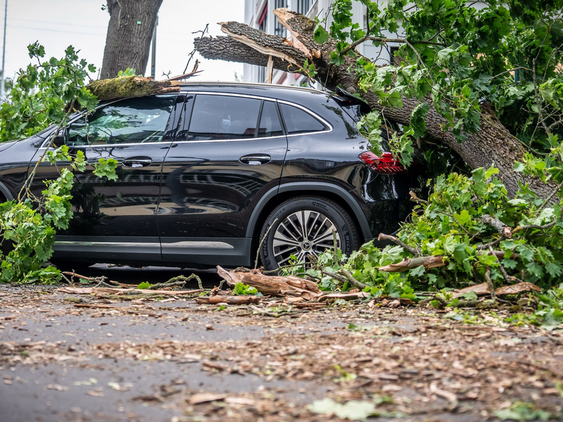 In Berlin führte jüngst ein Sturm zu zahlreichen Schäden. Eine Frau starb. - Foto: Michael Kappeler/dpa
