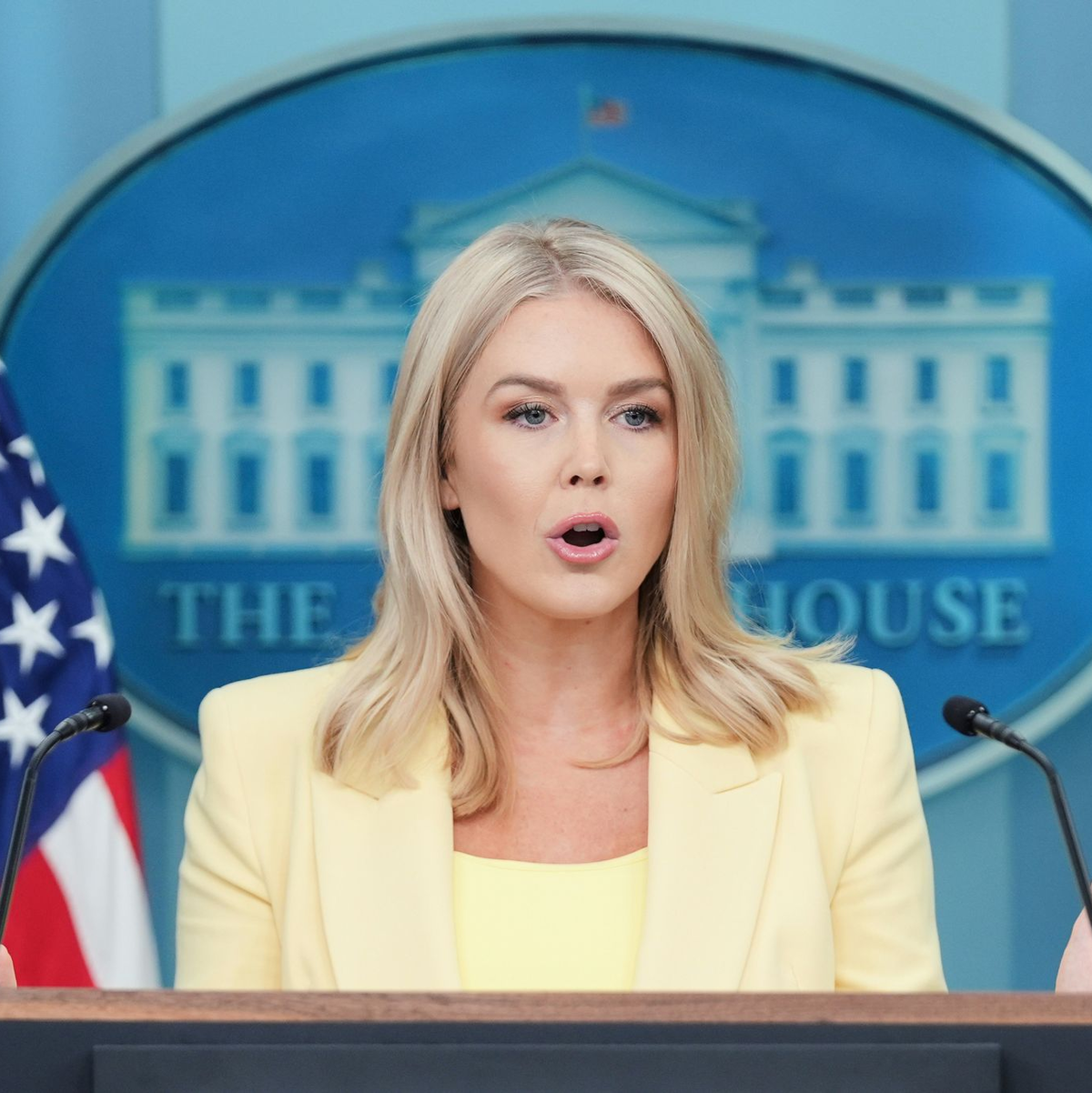 Noch gibt es laut Trump-Sprecherin Leavitt keine konkreten Pläne für weitere Verhandlungen. - Foto: Evan Vucci/AP/dpa