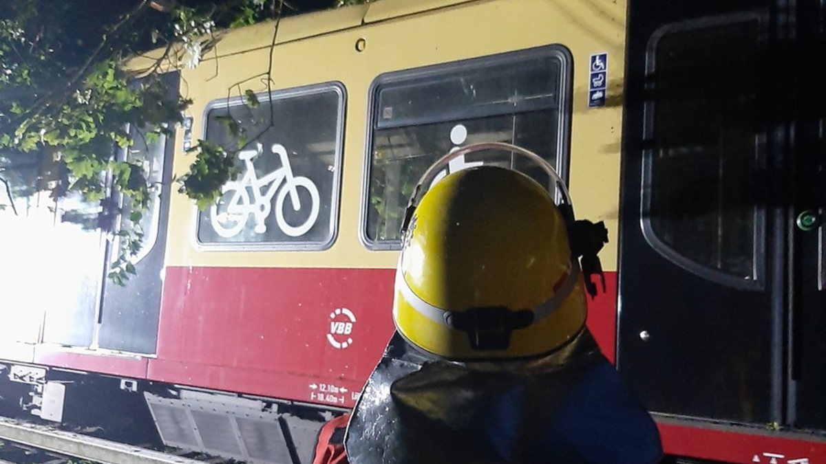 THW LVBEBBST: Über 360 Einsatzkräfte des THW beseitigen Sturmschäden in Berlin, Brandenburg und Sachsen-Anhalt - Foto: presseportal.de