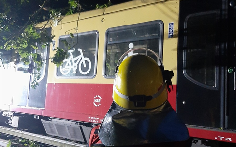 THW LVBEBBST: Über 360 Einsatzkräfte des THW beseitigen Sturmschäden in Berlin, Brandenburg und Sachsen-Anhalt - Foto: presseportal.de