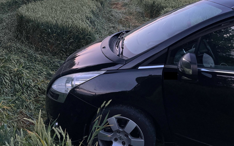 POL-MI: Fluchtversuch endet auf einem Getreidefeld - Foto: presseportal.de