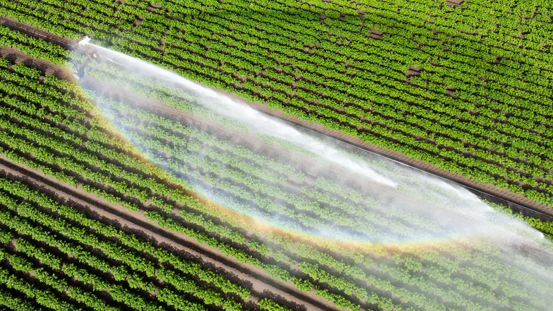 Wasser kann Luxus sein - wenn es knapp ist und für die Landwirtschaft gebraucht wird. (Illustration) - Bild: Julian Stratenschulte/dpa