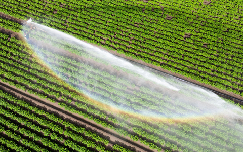Wasser kann Luxus sein - wenn es knapp ist und für die Landwirtschaft gebraucht wird. (Illustration) - Foto: Julian Stratenschulte/dpa