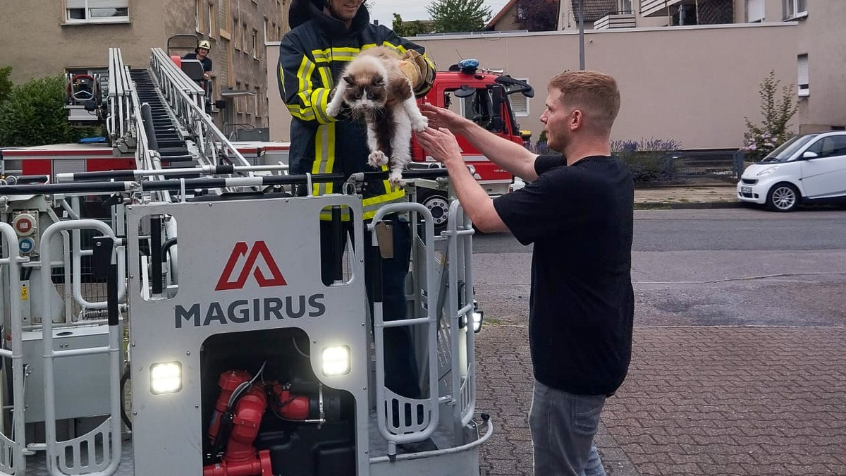 FW-BO: Feuerwehr rettet hilflosen Kater 