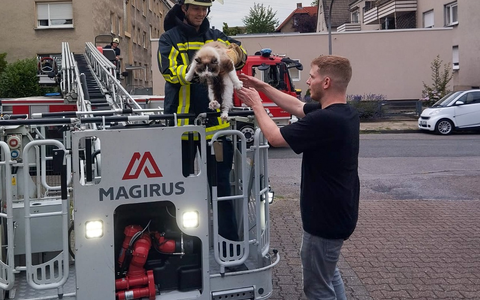 FW-BO: Feuerwehr rettet hilflosen Kater Loki vom Dach eines Mehrfamilienhauses - Foto: presseportal.de