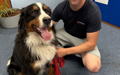 FW Böblingen: Die Feuerwehr Böblingen wurde am spÀten Samstagabend zu einer eher ungewöhnlichen Tierrettung alarmiert. - Foto: presseportal.de FW Böblingen: Die Feuerwehr Böblingen wurde am spÀten Samstagabend zu einer eher ungewöhnlichen Tierrettung alarmiert. - Foto: presseportal.de