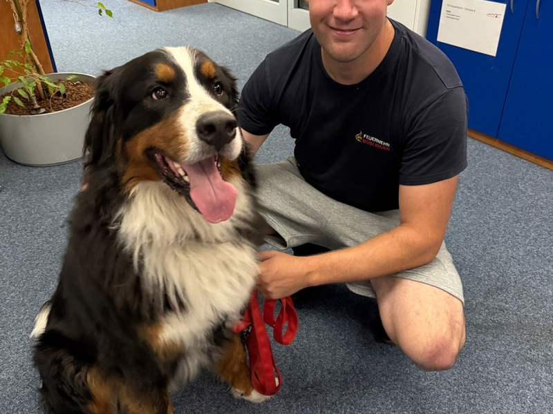 FW Böblingen: Die Feuerwehr Böblingen wurde am späten Samstagabend zu einer eher ungewöhnlichen Tierrettung alarmiert. - Foto: presseportal.de