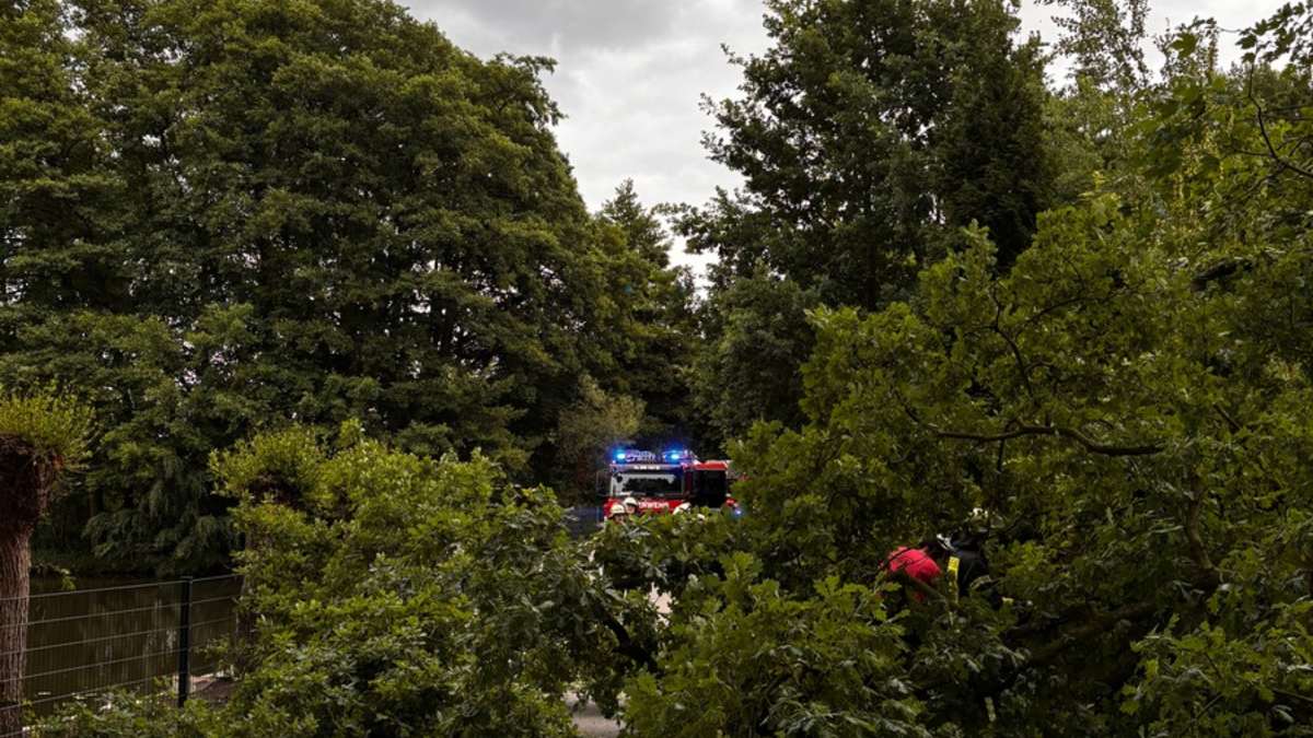 FW-Schermbeck: Umgestürzter Baum - Foto: presseportal.de