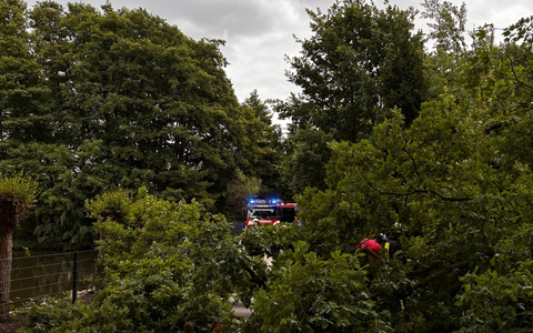 FW-Schermbeck: Umgestürzter Baum - Foto: presseportal.de