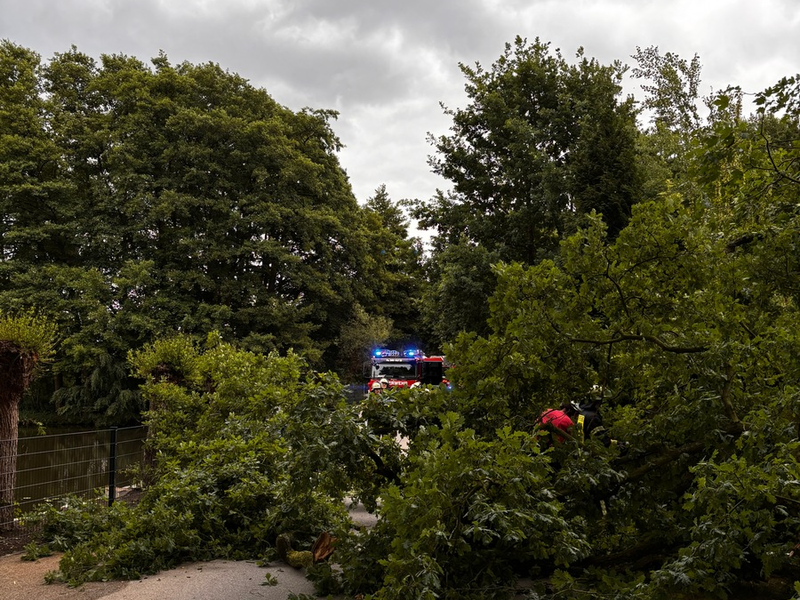 FW-Schermbeck: Umgestürzter Baum - Foto: presseportal.de