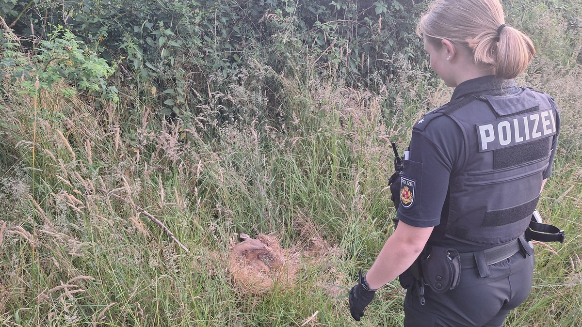 POL-HB: Nr.: 0414 --