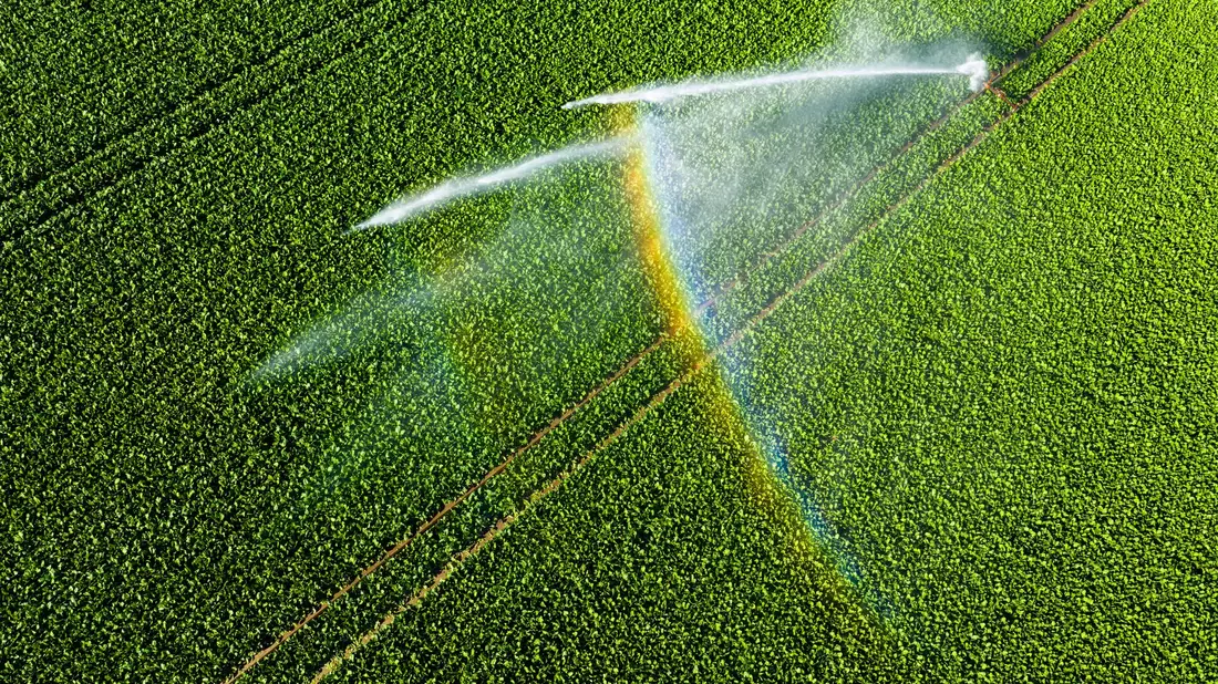 Bis zum Mittwoch steigen die Temperaturen in Deutschland.  - Bild: Julian Stratenschulte/dpa