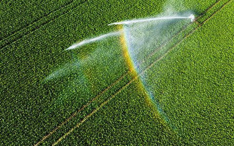 Nicht einmal fünf Prozent der landwirtschaftlichen Fläche kann bewässert werden.  - Foto: Julian Stratenschulte/dpa