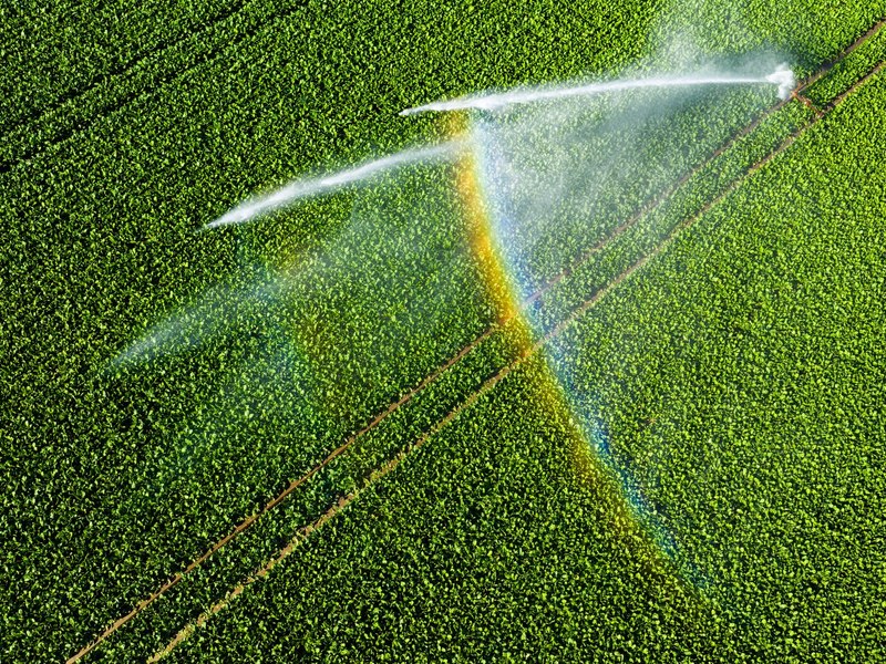 Bis zum Mittwoch steigen die Temperaturen in Deutschland.  - Foto: Julian Stratenschulte/dpa
