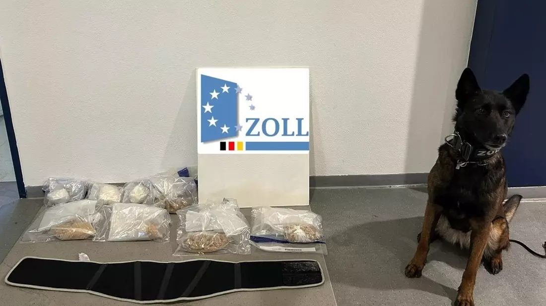 HZA-RO: ZOLL findet Kokain und präparierten Nierengurt mit MDMA bei Busreisendem aus Amsterdam / erfolgreicher Einsatz mit Zollhund - Bild: presseportal.de