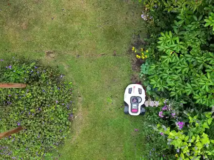 Naturschützer warnen davor, dass Mähroboter eine Gefahr sein können - vor allem für nachtaktive Tiere. (Symbolbild) - Foto: Sascha Thelen/dpa